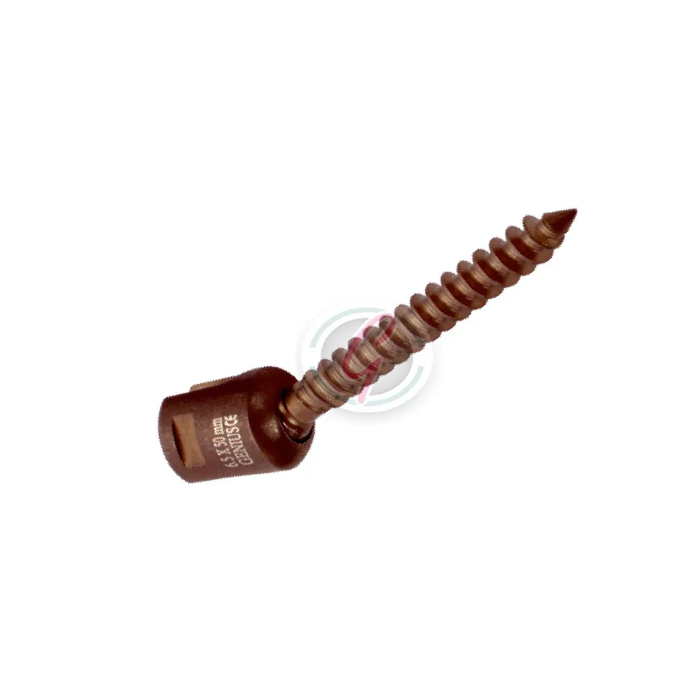 TIT POLY AXIAL SCREW